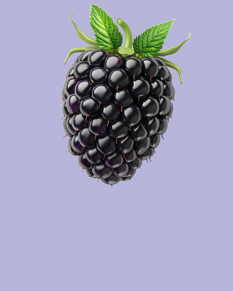 blackberry_001